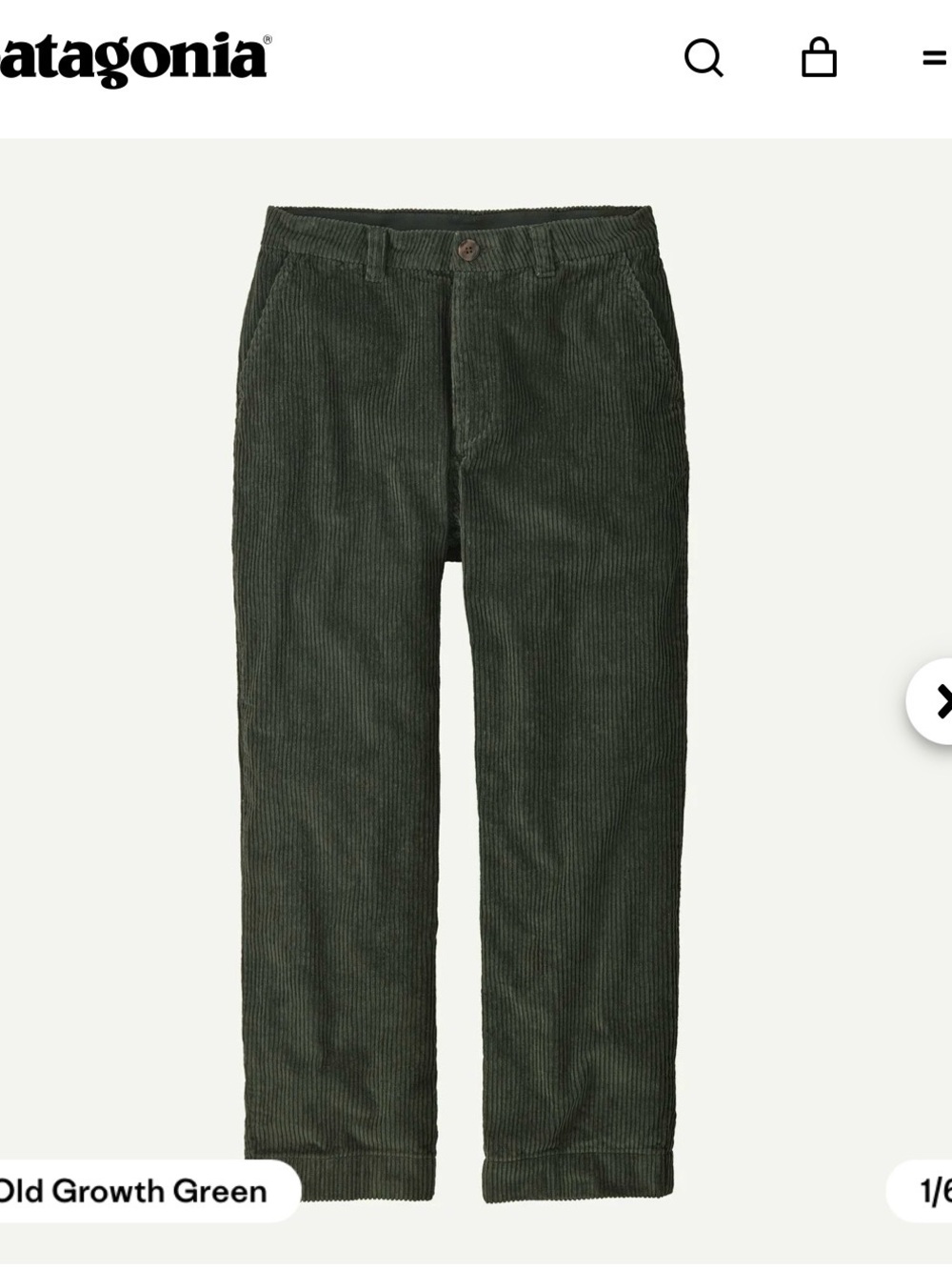 Patagonia Women’s Wide Wale Corduroy Pants in Old Growth Green